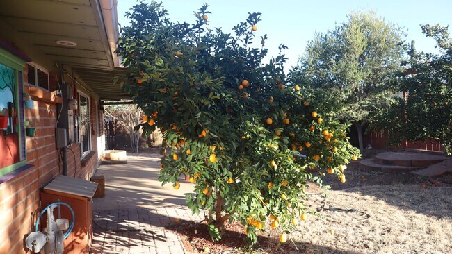 Building Photo - Spacious