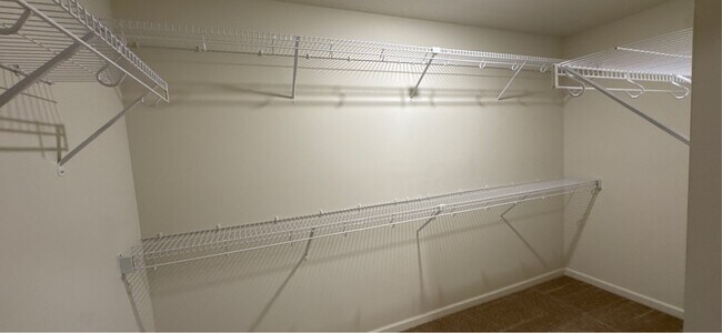 Building Photo - 1038 White Tail Ln