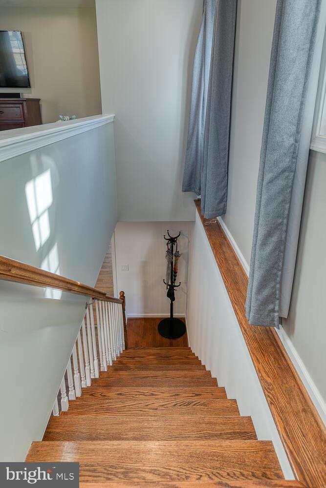 Building Photo - 1206 Riggs Ct