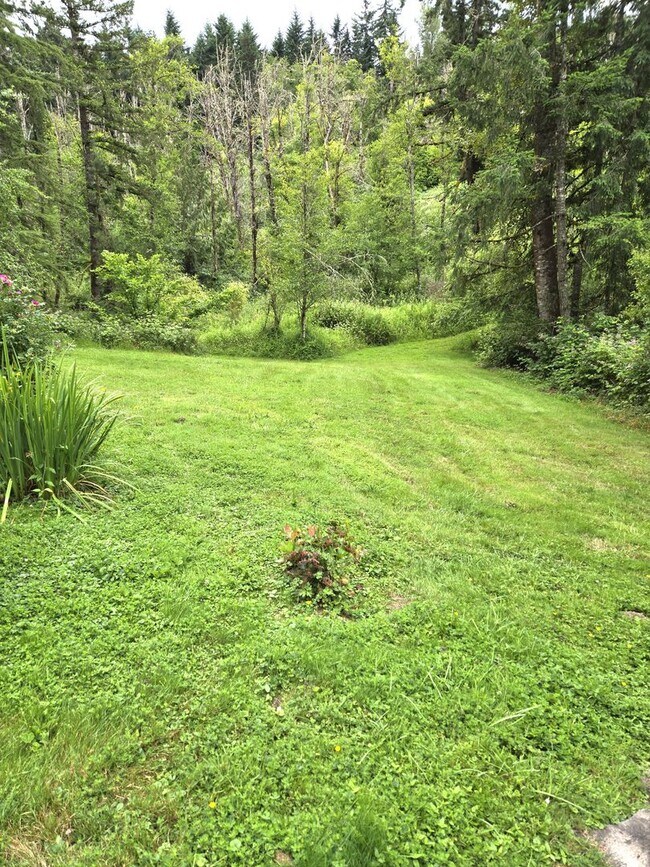 Building Photo - Exceptional Property!  Large home on 20 ac...