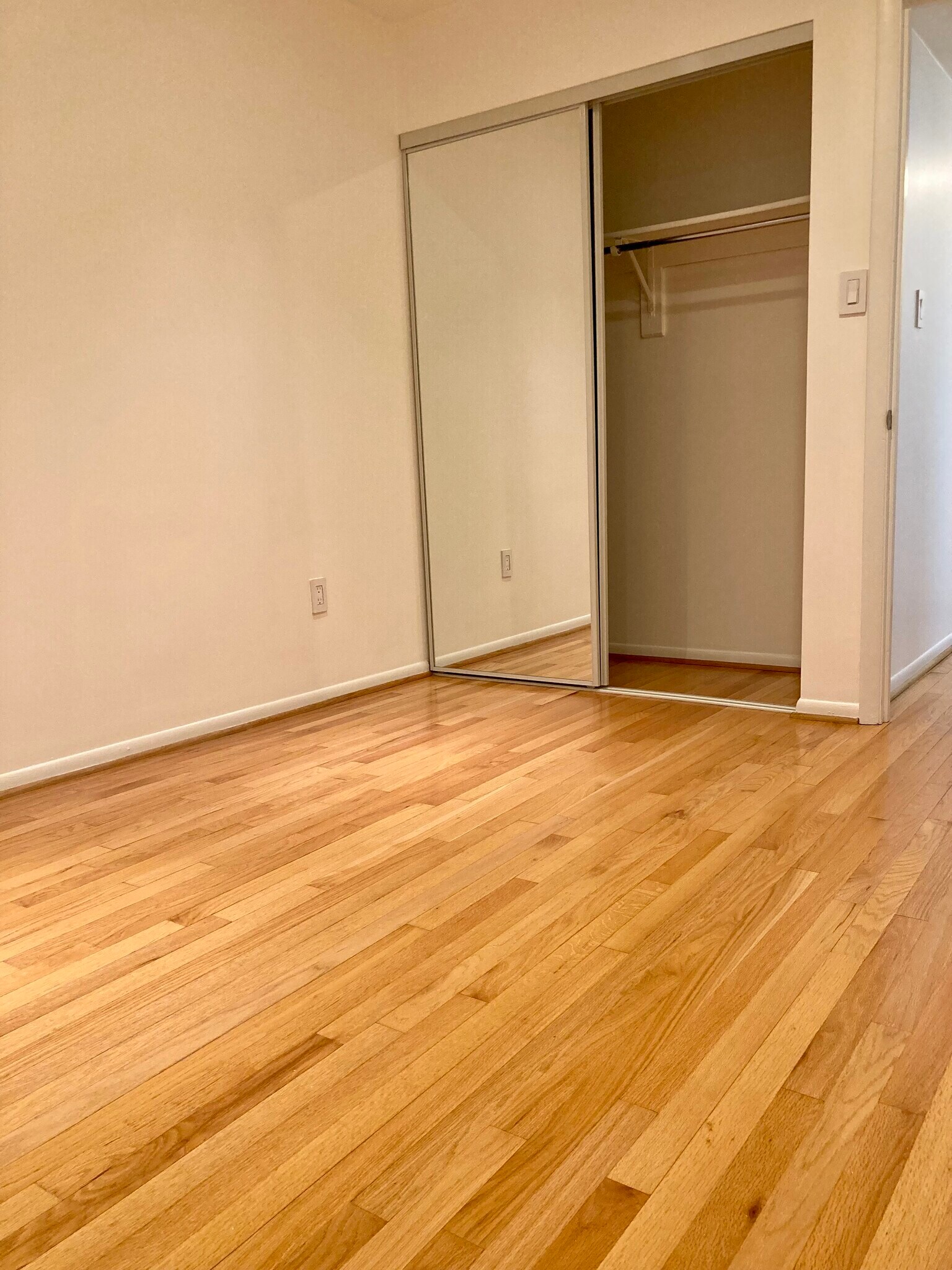 BR 3 and another big closet - 658 15th St S