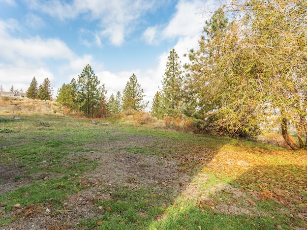 Building Photo - 1609 E Hartson Ave