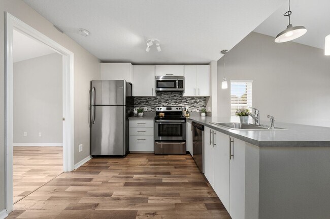Building Photo - Beautifully Remodeled 3 Bedroom in Regent Park