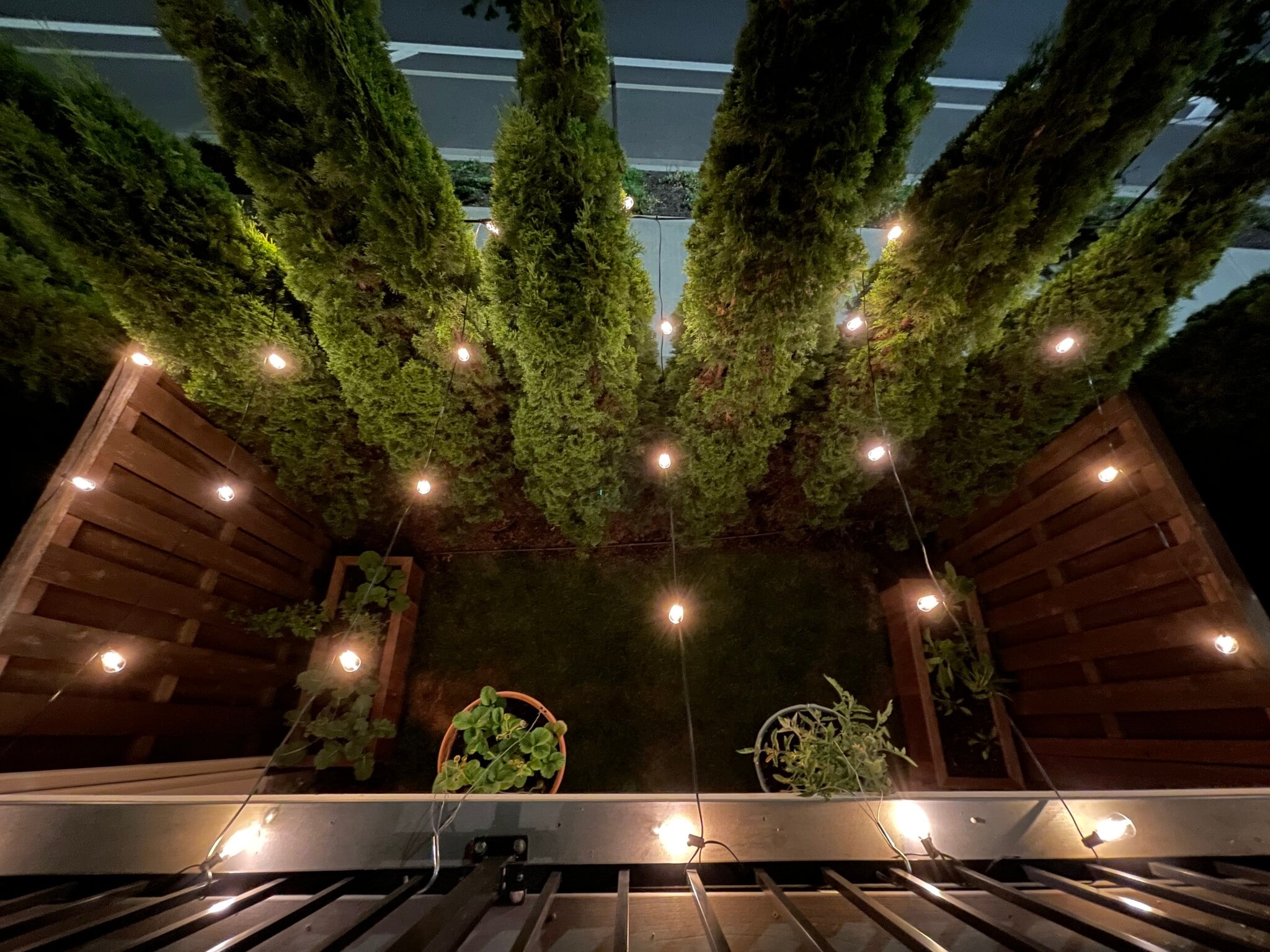 View of the backyard from the balcony - 13102 SW Aubergine Ter