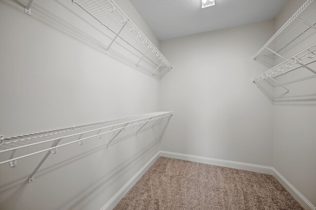 Building Photo - 505 E Black Water Ln