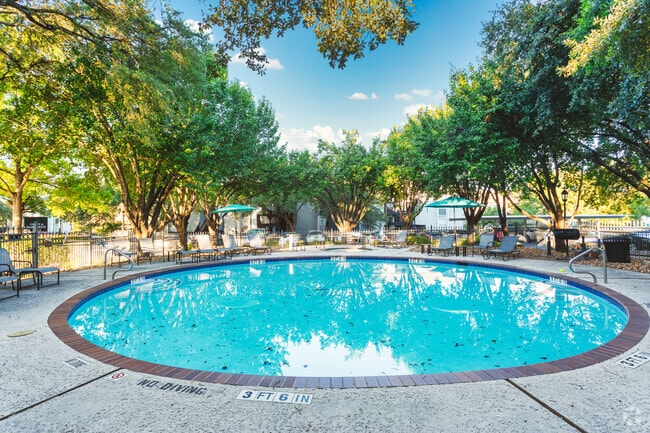 Pool - Grove at Northwest Hills