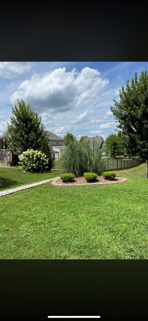 Backyard landscaping - 313 Thornhill St