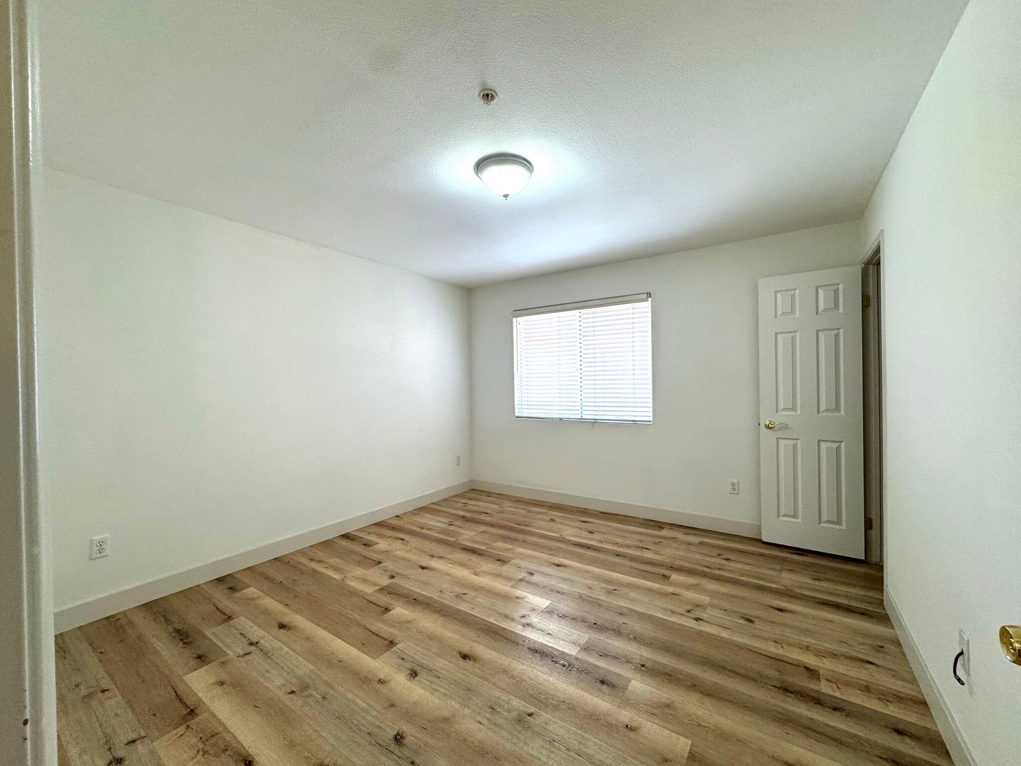 Building Photo - 456 Shatto Pl