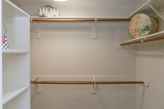 Building Photo - 315 Glade Bridge Ln