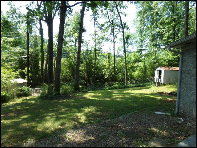 Building Photo - 11423 Birchwood Dr