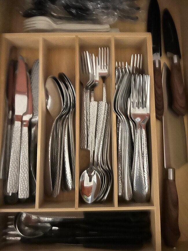 Flat ware - 14008 Chicora Crossing Blvd