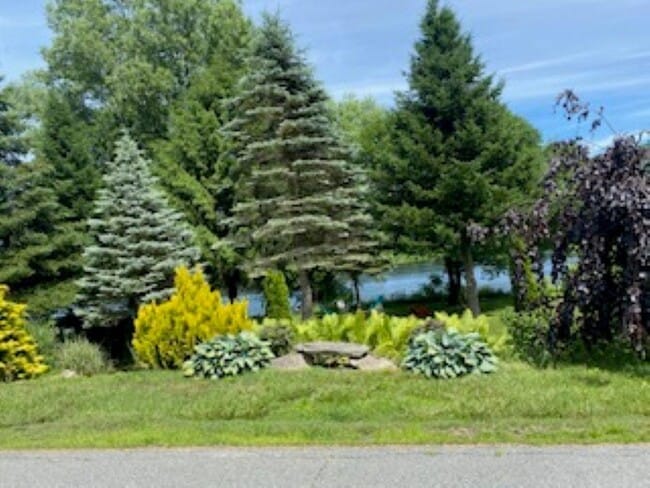 Building Photo - 646 Old Connecticut River Rd