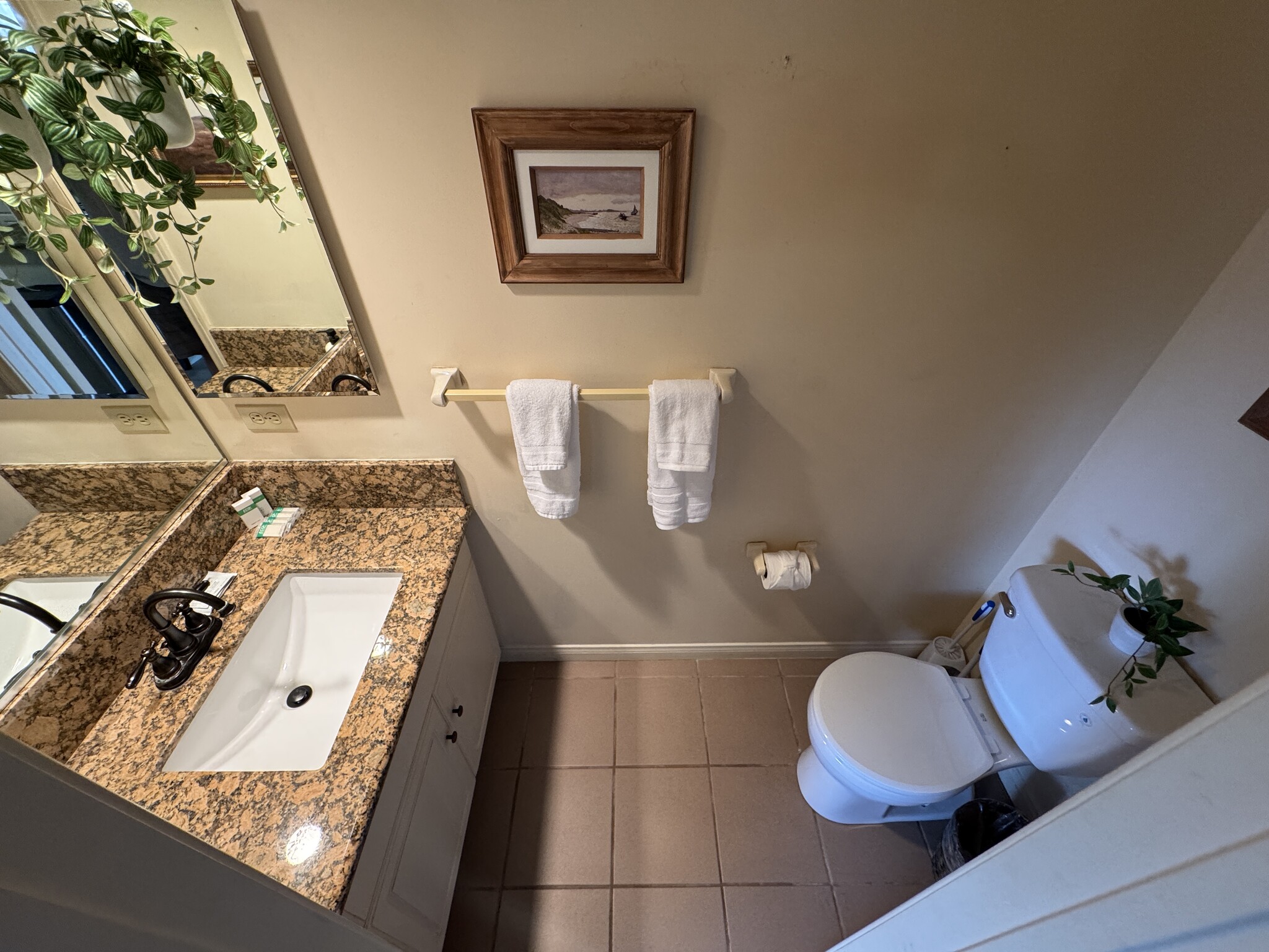 Downstairs half bath - 1139 Thomas Ave
