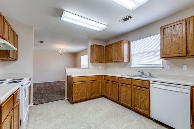 Building Photo - 4-BEDROOM IN SPRING VISTAS, NORTHSIDE I.S.D.