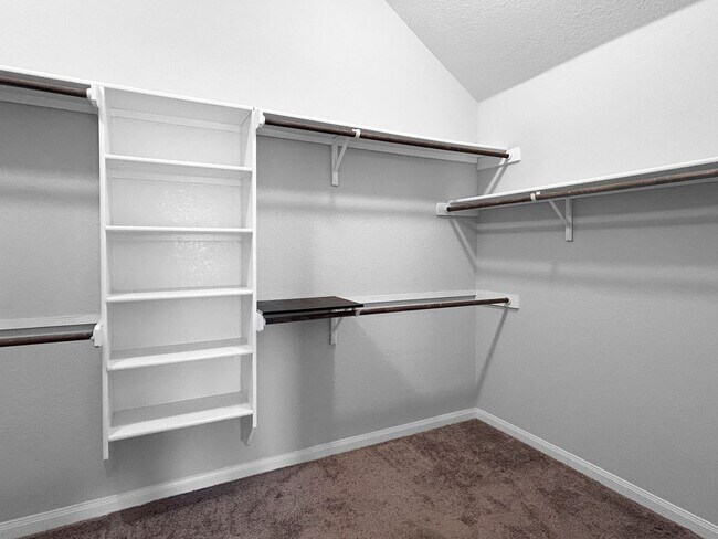 Building Photo - Contemporary 3-Bedroom Near Randolph AFB