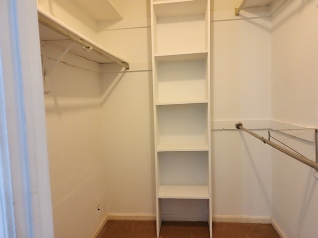 Building Photo - 345 Ferdinand Cir