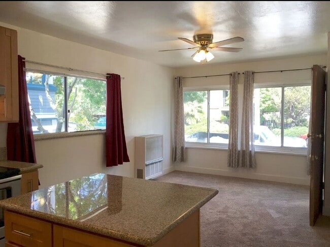 Building Photo - 313 First Street unit B San Rafael CA 94901-1 bd 1 bath