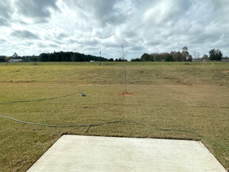 Building Photo - 13691 Logan Pl