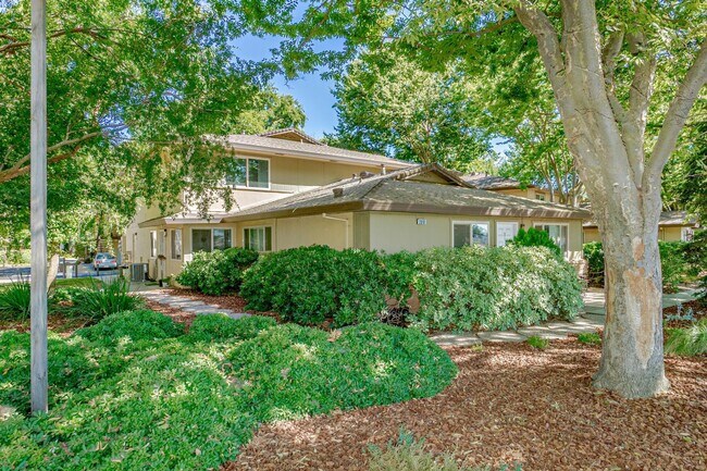 Building Photo - Fully Updated 2 Bedroom 1 Bath Condo