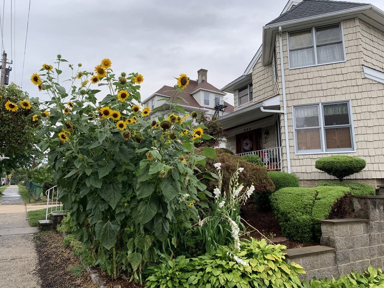 Building Photo - 225 Sickles Ave