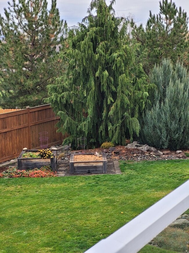 Building Photo - Well Maintained Family Home in Clarkston Heights