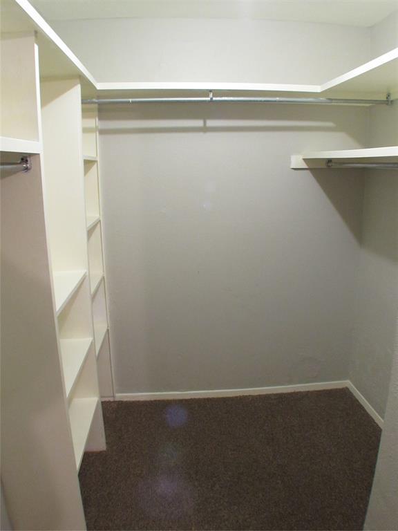 Building Photo - 10406 Shadow Bend Dr