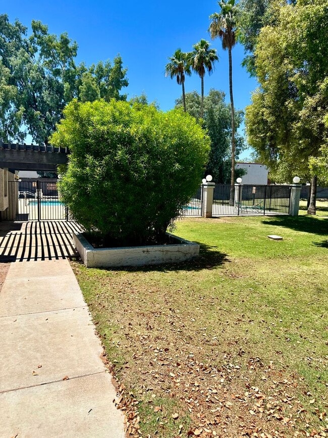 Building Photo - Stylish Towne House in Mesa with Community POOL