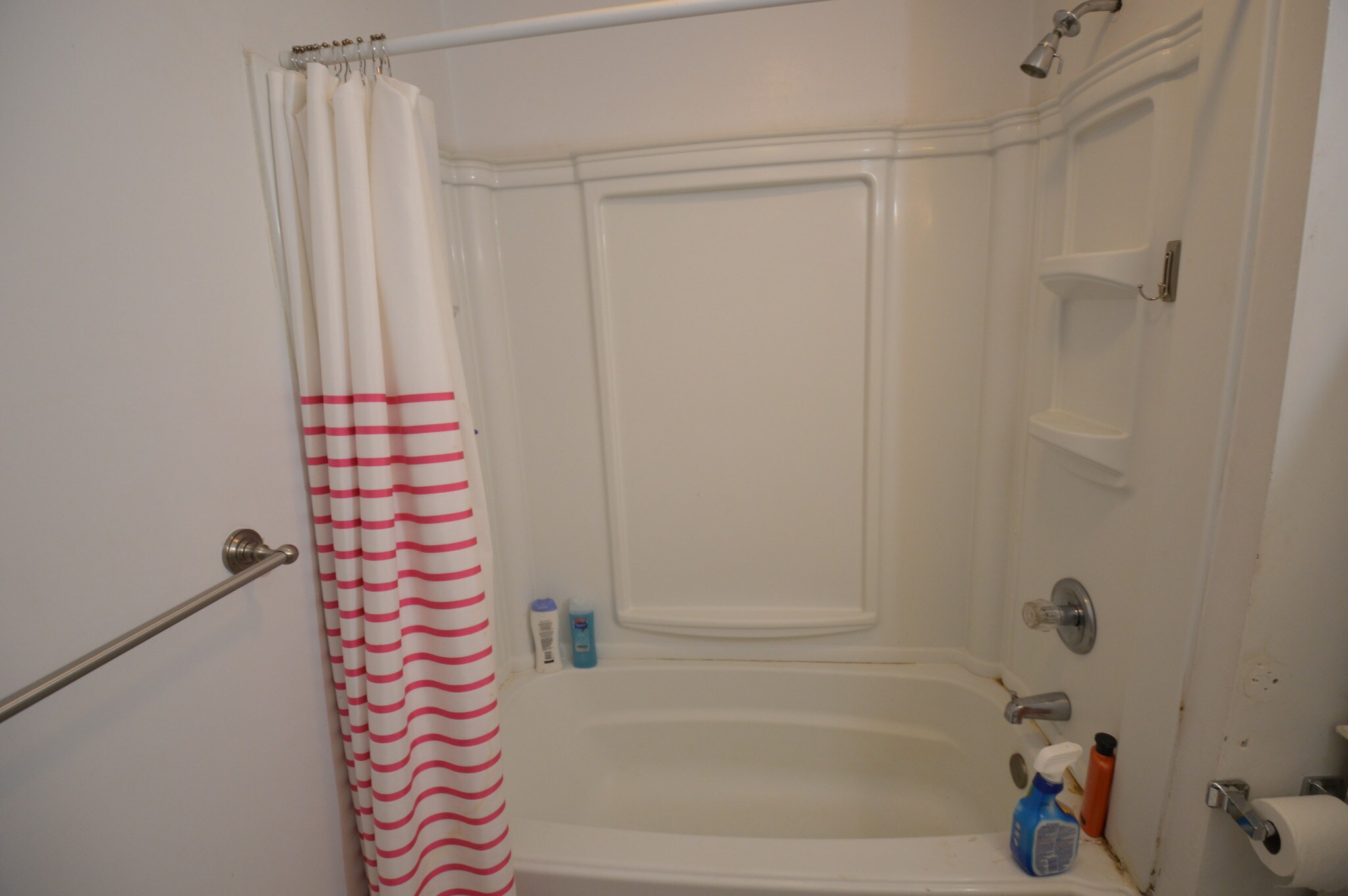 Building Photo - 66 Egmont St