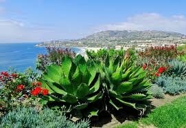 Salt Creek Beach-The California Riviera - 40 Corniche Dr