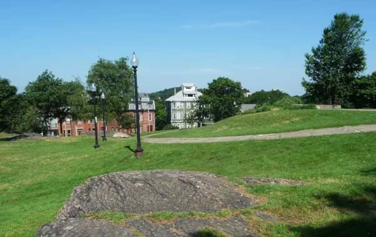 Building Photo - 135 Cedar St