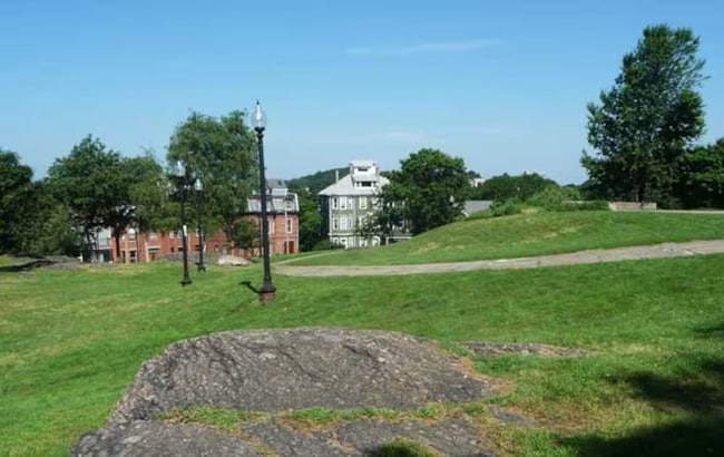 Building Photo - 135 Cedar St