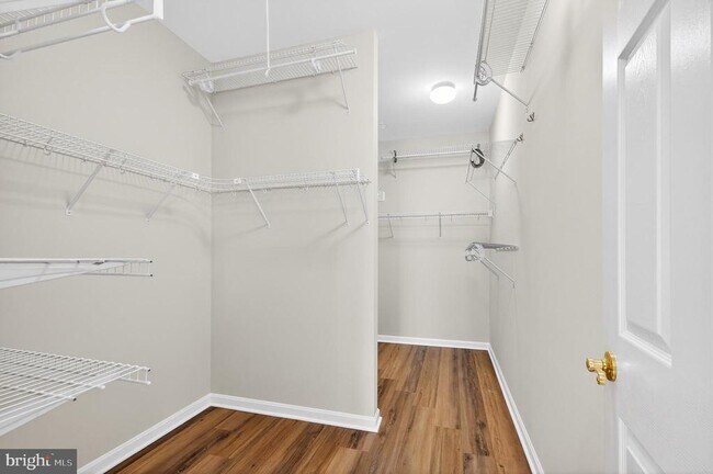 Building Photo - 42071 Pepperbush Pl