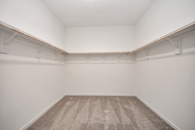 Building Photo - 1812 Corsica Crk Ln