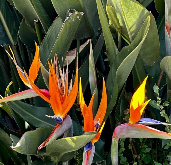 Building Photo - 327 Woodland Park