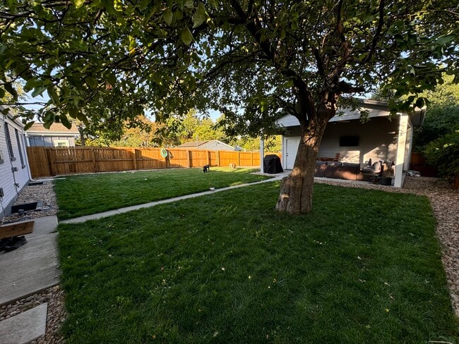 Backyard - 4470 Eliot St