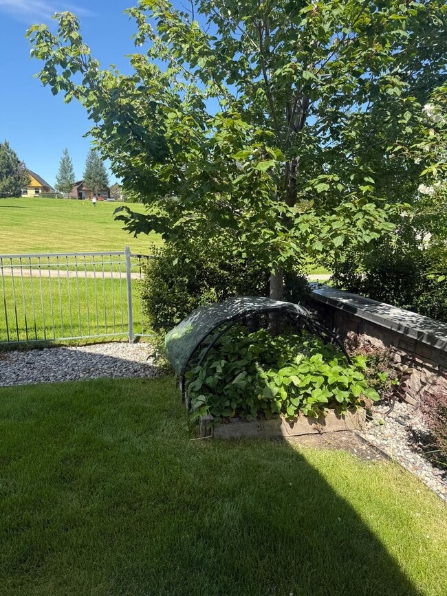 Building Photo - Rare Find- Home for Rent in the Knolls Community