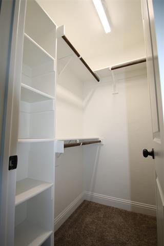 Building Photo - 1301 White Sand Dr