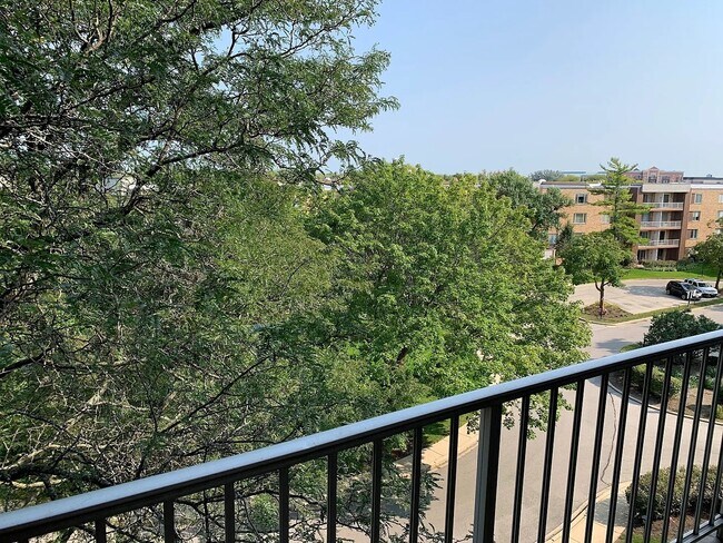 Building Photo - 225 S Rohlwing Rd