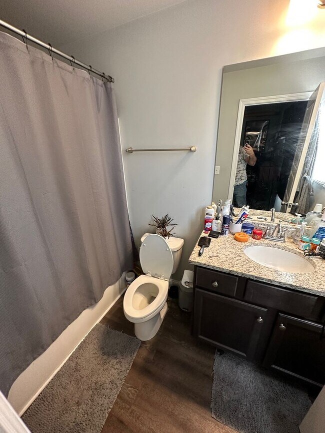 Building Photo - Three Bedroom Near Five Points Available