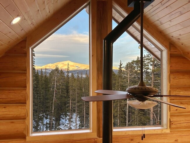 Building Photo - 6 month lease! Fairplay Cabin! 2 beds plus...