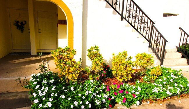 Building Photo - 2900 Olivewood Terrace