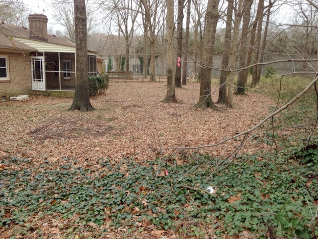 Building Photo - 1317 Drexel Cir