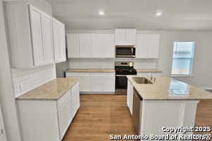 Building Photo - 183 Ringed Plover