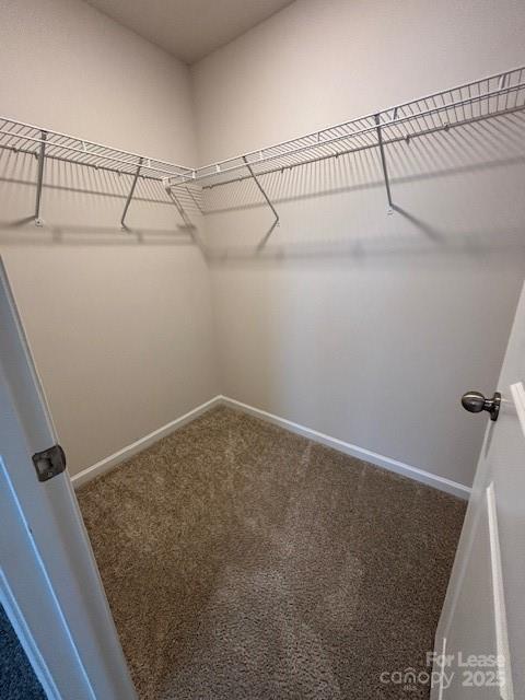 Building Photo - 306 Planters Trace Ln