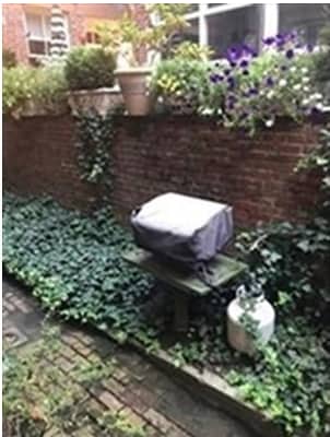 Building Photo - 19 Temple St