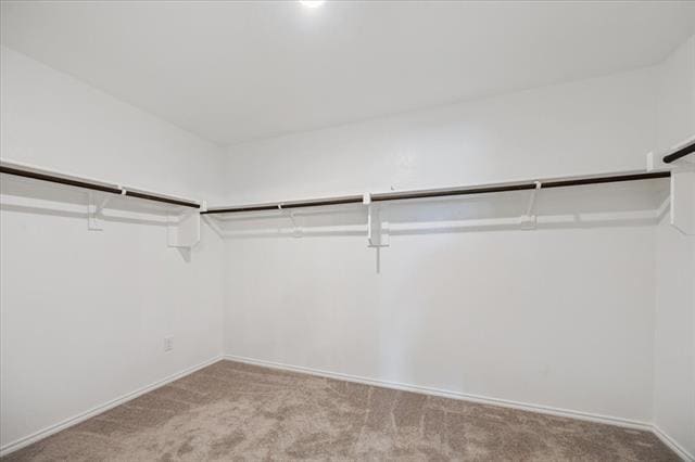 Building Photo - 2424 Castlebar Dr
