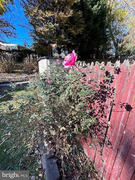 Building Photo - 10804 Drumm Ave