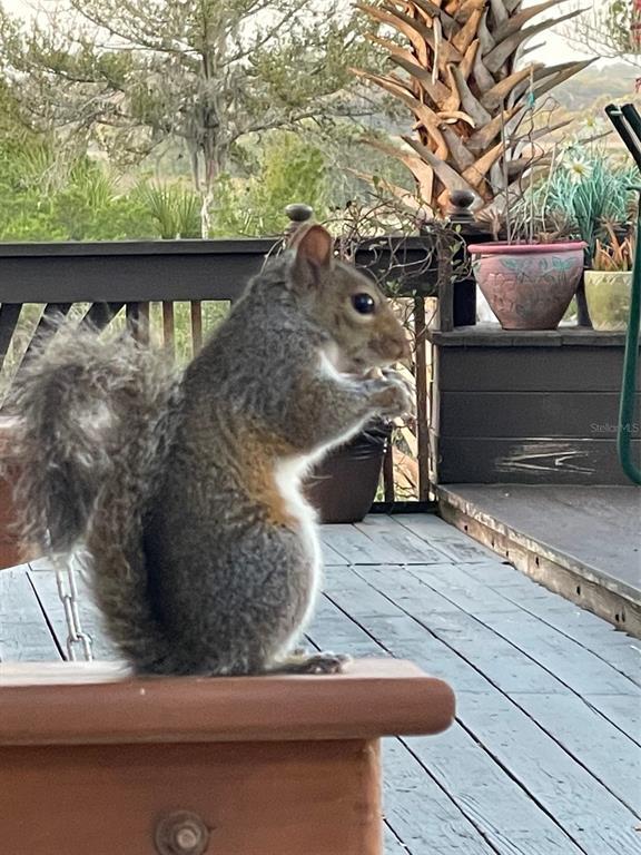 Building Photo - 41 Cochise Ct