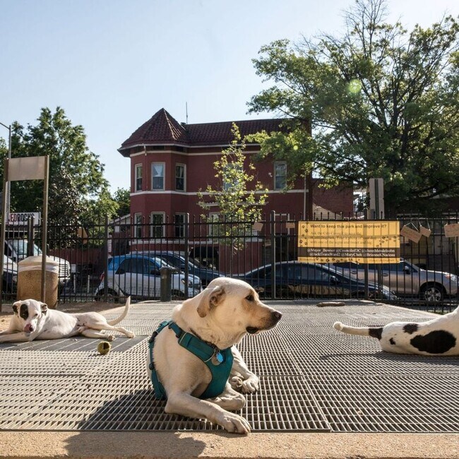 Building Photo - 3215 11th St NW