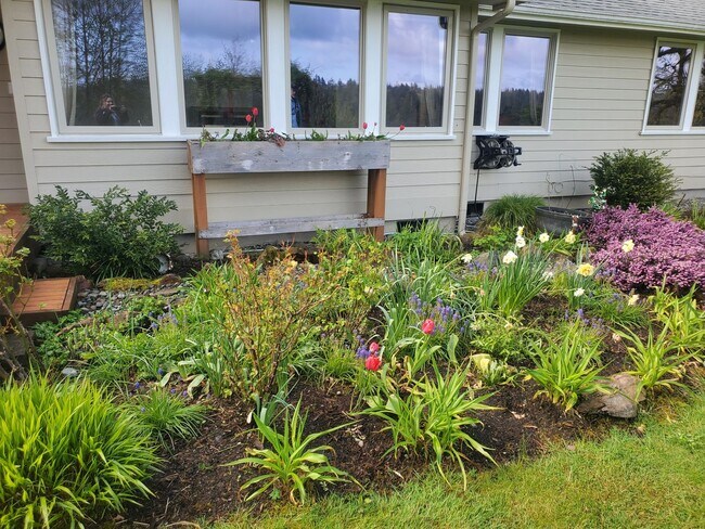 Building Photo - Beautiful home over the Hammersley Inlet